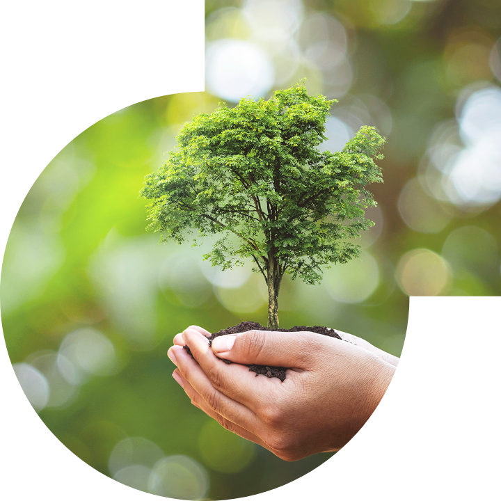 关怀人类、文化、环境与社会